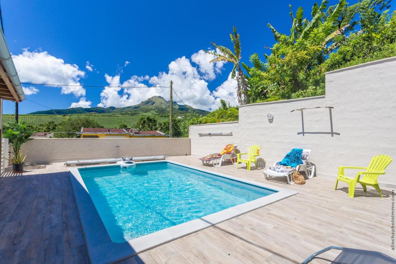 Heliconia - Appt Avec Piscine Partagee Lejlighed Saint-Pierre Eksteriør billede